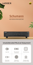 Load image into Gallery viewer, [🎶SG] LADDER Schumann FPGA HIFI DAC with Coax , Opt, I2S , USB &amp; AES
